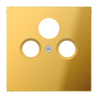 centre plate for SAT-TV socket - JUNG (pavadinimas tikslinamas)