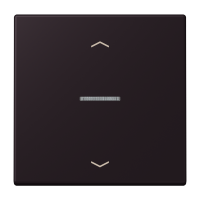 1-gang rocker with lens and arrow symbol - JUNG (pavadinimas tikslinamas)