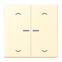 2-gang rocker with lens and arrow symbol - JUNG (pavadinimas tikslinamas)