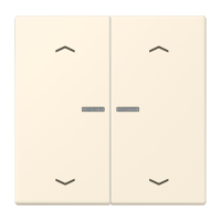 2-gang rocker with lens and arrow symbol - JUNG (pavadinimas tikslinamas)
