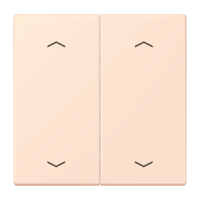 2-gang rocker with arrow symbols LC32082 - JUNG (pavadinimas tikslinamas)