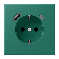 Lizdas p/t SCHUKO su USB A ir USB C 3A vert anglais 16A 250V LE CORBUSIER - JUNG