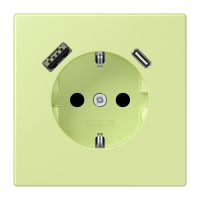 SCHUKO socket with USB charger LC32053 - JUNG (pavadinimas tikslinamas)