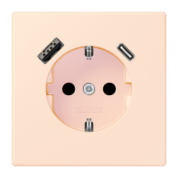 SCHUKO socket with USB charger LC32082 - JUNG (pavadinimas tikslinamas)