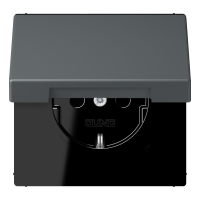SCHUKO socket LC32010 - JUNG (pavadinimas tikslinamas)