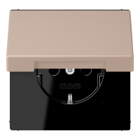 SCHUKO socket LC32131 - JUNG (pavadinimas tikslinamas)
