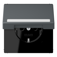 SCHUKO socket, with hinged lid, with ins - JUNG (pavadinimas tikslinamas)