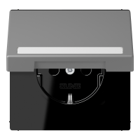 SCHUKO socket, with hinged lid, with ins - JUNG (pavadinimas tikslinamas)