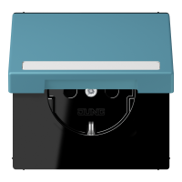 SCHUKO socket, with hinged lid, with ins - JUNG (pavadinimas tikslinamas)