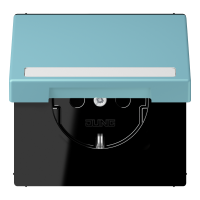 SCHUKO socket, with hinged lid, with ins - JUNG (pavadinimas tikslinamas)
