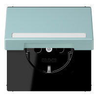SCHUKO socket, with hinged lid, with ins - JUNG (pavadinimas tikslinamas)
