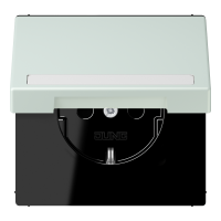 SCHUKO socket, with hinged lid, with ins - JUNG (pavadinimas tikslinamas)