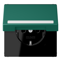 SCHUKO socket, with hinged lid, with ins - JUNG (pavadinimas tikslinamas)