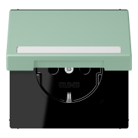 SCHUKO socket, with hinged lid, with ins - JUNG (pavadinimas tikslinamas)