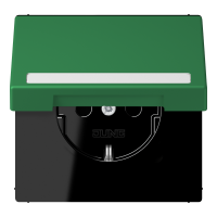 SCHUKO socket, with hinged lid, with ins - JUNG (pavadinimas tikslinamas)