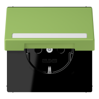 SCHUKO socket, with hinged lid, with ins - JUNG (pavadinimas tikslinamas)