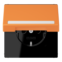 SCHUKO socket, with hinged lid, with ins - JUNG (pavadinimas tikslinamas)