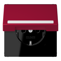 SCHUKO socket, with hinged lid, with ins - JUNG (pavadinimas tikslinamas)