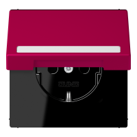 SCHUKO socket, with hinged lid, with ins - JUNG (pavadinimas tikslinamas)