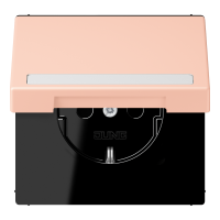 SCHUKO socket, with hinged lid, with ins - JUNG (pavadinimas tikslinamas)
