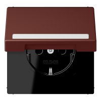 SCHUKO socket, with hinged lid, with ins - JUNG (pavadinimas tikslinamas)