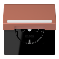 SCHUKO socket, with hinged lid, with ins - JUNG (pavadinimas tikslinamas)