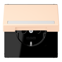 SCHUKO socket, with hinged lid, with ins - JUNG (pavadinimas tikslinamas)