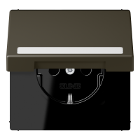 SCHUKO socket, with hinged lid, with ins - JUNG (pavadinimas tikslinamas)
