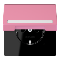 SCHUKO socket, with hinged lid, with ins - JUNG (pavadinimas tikslinamas)