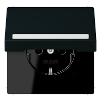 SCHUKO socket, with hinged lid, with ins - JUNG (pavadinimas tikslinamas)