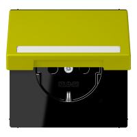 SCHUKO socket, with hinged lid, with ins - JUNG (pavadinimas tikslinamas)