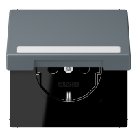SCHUKO socket, with hinged lid, with ins - JUNG (pavadinimas tikslinamas)