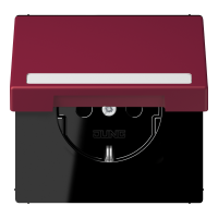 SCHUKO socket, with hinged lid, with ins - JUNG (pavadinimas tikslinamas)