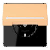SCHUKO socket, with hinged lid, with ins - JUNG (pavadinimas tikslinamas)