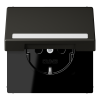 SCHUKO socket, with hinged lid, with ins - JUNG (pavadinimas tikslinamas)