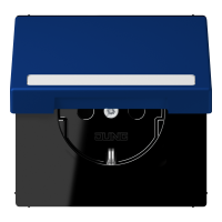 SCHUKO socket, with hinged lid, with ins - JUNG (pavadinimas tikslinamas)