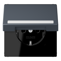 SCHUKO socket, with hinged lid, with ins - JUNG (pavadinimas tikslinamas)