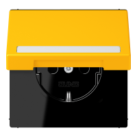 SCHUKO socket, with hinged lid, with ins - JUNG (pavadinimas tikslinamas)