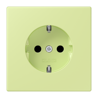 SCHUKO socket LC32053 - JUNG (pavadinimas tikslinamas)