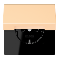 SCHUKO socket LC32060 - JUNG (pavadinimas tikslinamas)