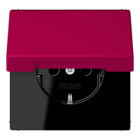 SCHUKO socket LC32101 - JUNG (pavadinimas tikslinamas)