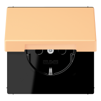 SCHUKO socket LC4320P - JUNG (pavadinimas tikslinamas)