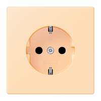 SCHUKO socket LC32060 - JUNG (pavadinimas tikslinamas)