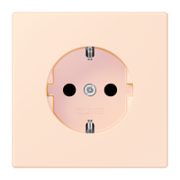 SCHUKO socket LC32082 - JUNG (pavadinimas tikslinamas)