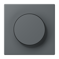 Centre plate with knob LC32010 - JUNG (pavadinimas tikslinamas)
