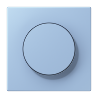 Centre plate with knob LC32021 - JUNG (pavadinimas tikslinamas)