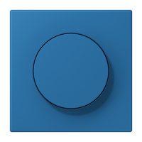 Centre plate with knob LC32030 - JUNG (pavadinimas tikslinamas)