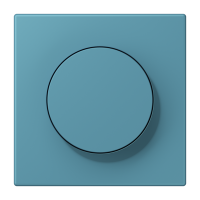 Centre plate with knob LC32031 - JUNG (pavadinimas tikslinamas)