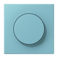 Centre plate with knob LC32032 - JUNG (pavadinimas tikslinamas)