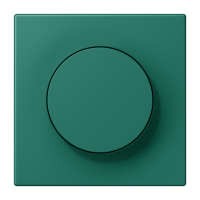 Centre plate with knob LC32040 - JUNG (pavadinimas tikslinamas)